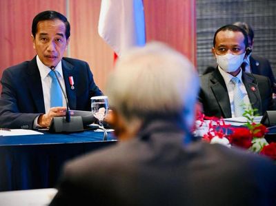 Momen Jokowi Bertemu Bos-bos Besar Korea