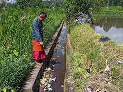 Puluhan Jarum Suntik Bekas di Abang Ternyata Milik Klinik Hewan