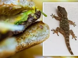 Pesan Burger McD, Wanita Ini Dapat Kejutan Kadal Terjepit