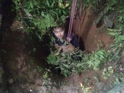 Terjebak Semalaman, Anjing Masuk Sumur 10 Meter Dievakuasi Damkar Bogor