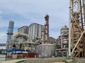 Pabrik Pupuk Prioritas Jokowi Mulai Dibangun di Fakfak Papua Pabrik Pupuk Prioritas Jokowi Mulai Dibangun di Fakfak Papua