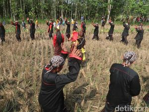 Upacara Adat Cing Cing Goling, Warisan Budaya Tak Benda Gunungkidul