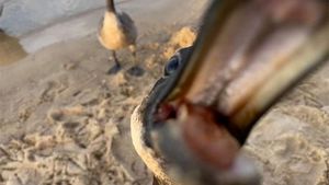 10 Potret Satwa Liar yang Gagal, Lucu Bikin Ngakak