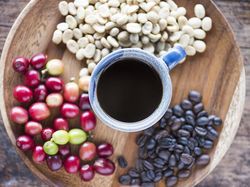 Apakah Kopi Berasal dari Bijian Utuh? Ini Fakta Biji Kopi yang Sebenarnya