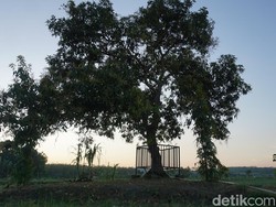 Legenda di Dusun Memek dan Tradisi Kenduri yang Lestari