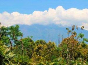 4 Kecamatan di Banyuwangi Rawan Terdampak Erupsi Gunung Raung 4 Kecamatan di Banyuwangi Rawan Terdampak Erupsi Gunung Raung