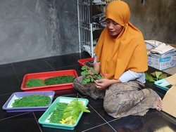 Cantiknya Kreasi Membuat Kain Ecoprint dari Bahan Alam