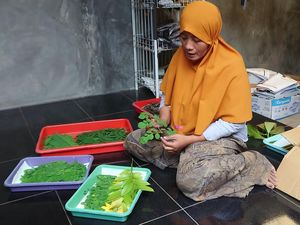 Cantiknya Kreasi Membuat Kain Ecoprint dari Bahan Alam Cantiknya Kreasi Membuat Kain Ecoprint dari Bahan Alam