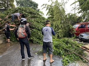 Cerita Warga Lihat Pohon Terbang Sebelum Timpa Kios Warung