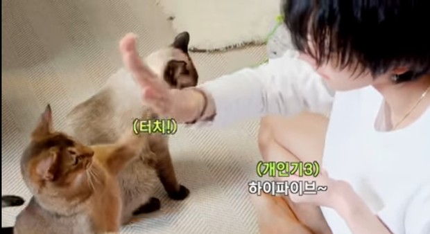 Ten dan Chenle sering membagikan kegiatannya saat bersama hewan peliharaan mereka.