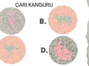 Coba Tes Buta Warna, Yuk Cari Hewan di Gambar-gambar Ini!