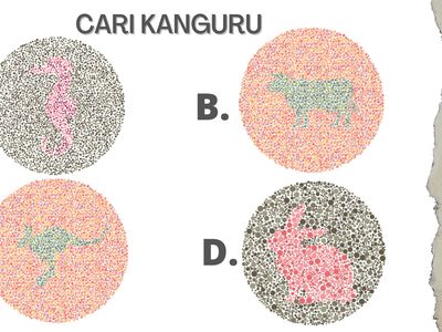 Coba Tes Buta Warna, Yuk Cari Hewan di Gambar-gambar Ini!