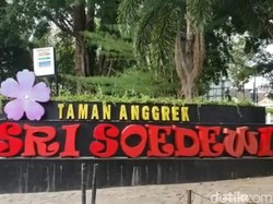 Taman Anggrek Sri Soedewi, Tempat Bermain dan Wisata Edukasi Warga Jambi