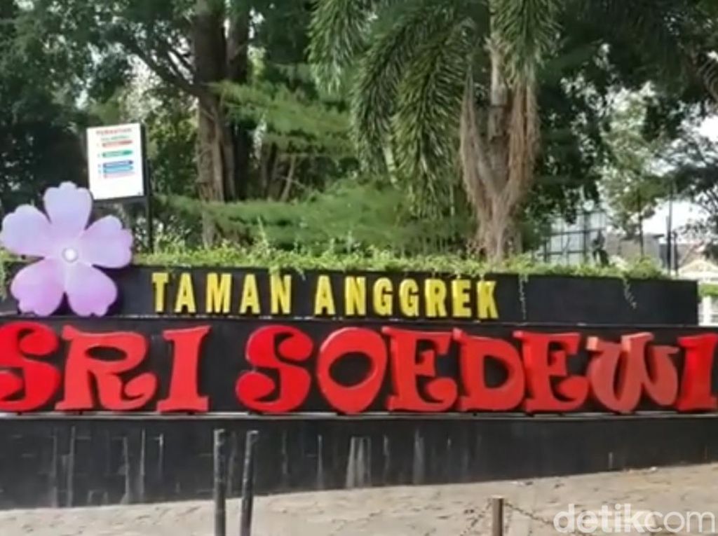 Taman Anggrek Sri Soedewi, Tempat Bermain dan Wisata Edukasi Warga Jambi Taman Anggrek Sri Soedewi, Tempat Bermain dan Wisata Edukasi Warga Jambi