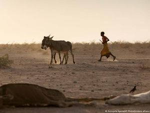 OECD: Negara Industri Maju Gagal Tepati Janji Dana Iklim