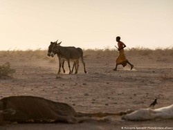 OECD: Negara Industri Maju Gagal Tepati Janji Dana Iklim