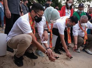Lepas 200 Tukik, Sandiaga Buka Likupang Tourism Festival 2022
