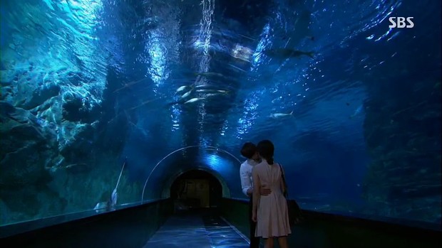 Foto: Courtesy of SBS