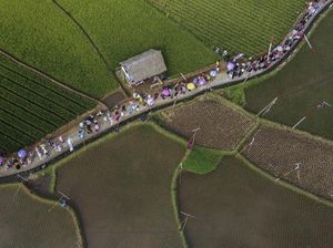 Hasil Bumi Melimpah, Warga Tasikmalaya Gelar Festival Kolecer