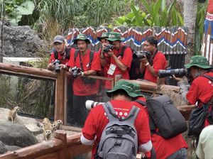 Daftar Pemenang IAPVC 2022 Bali Safari Park