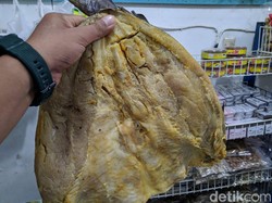 Kenali Ikan Asin Jambal Roti, Oleh-oleh Favorit dari Pangandaran