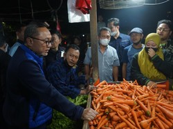 Cek Sembako di Sulsel, Zulhas Temukan Harga Cabai hingga Ayam Kemurahan