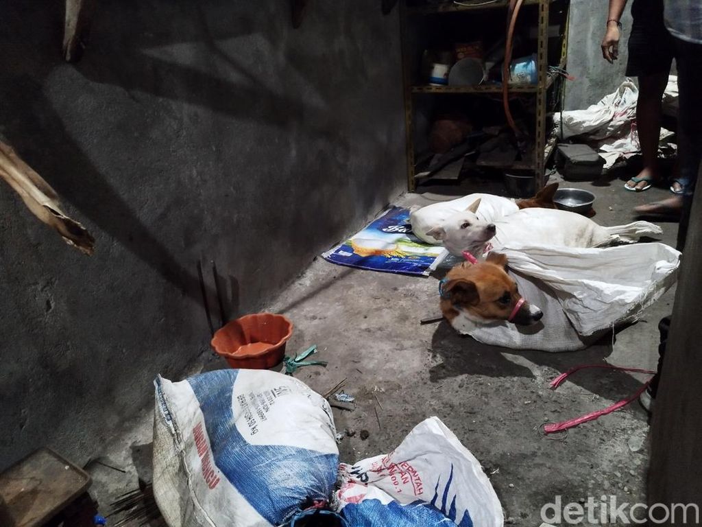 DPRD Jatim Desak Pemprov Segera Bikin Payung Hukum Larangan Daging Anjing DPRD Jatim Desak Pemprov Segera Bikin Payung Hukum Larangan Daging Anjing