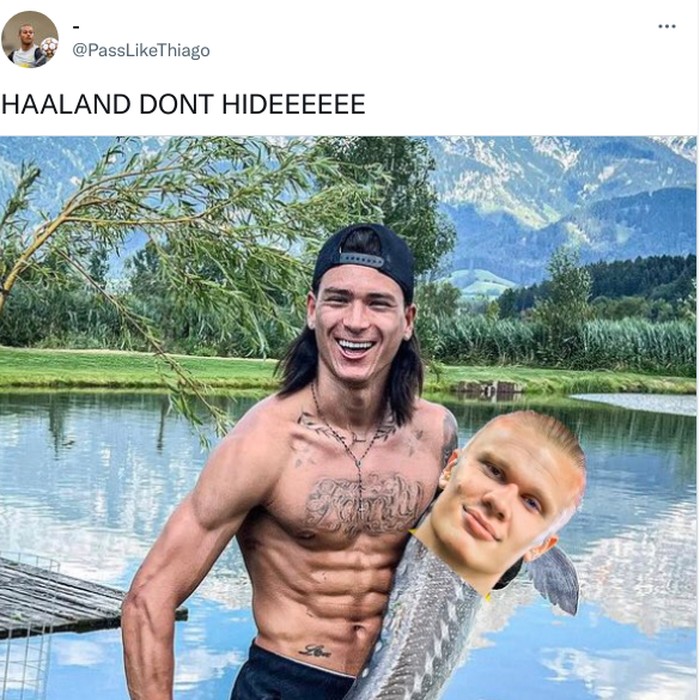 Meme Haaland