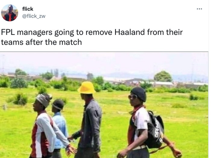 Meme Haaland