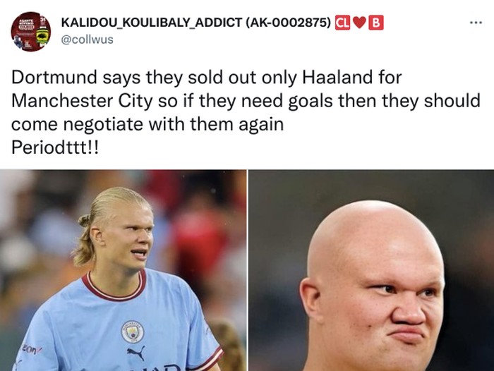 Meme Haaland