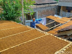 Petani Tembakau Minta Pemerintah Kaji Aturan Ini