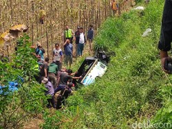 Pikap Terjun ke Sawah di Malang, Pengemudi Tewas di Lokasi