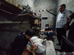 Rumah Jagal Anjing di Surabaya Digerebek