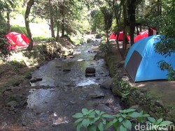 Lagi Hype! Capolaga, Camping Santai di Pinggir Sungai Jernih Subang