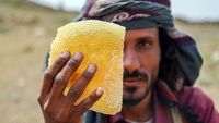 Begini Madu Yaman Diproduksi, Salah Satu Terbaik di Dunia