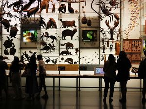Lorong Waktu Itu Bernama Museum Sejarah Alam di New York, Lihat Nih Lorong Waktu Itu Bernama Museum Sejarah Alam di New York, Lihat Nih