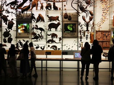 Lorong Waktu Itu Bernama Museum Sejarah Alam di New York, Lihat Nih