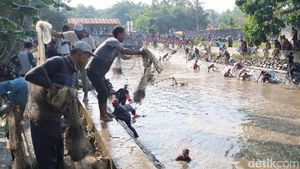 Warga Purworejo Tumpah Ruah Berburu Ikan di Acara Bersih Sungai