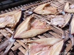Cara Bikin Ikan Asin Jambal Roti Pangandaran yang Gurih Empuk