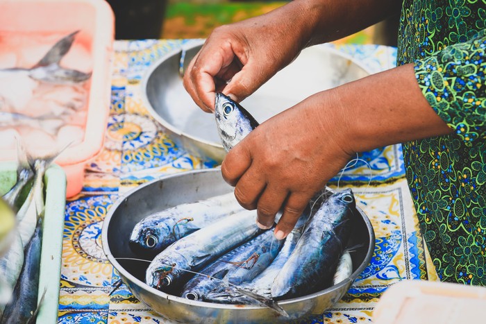 Ilustrasi Buruh Ikan Selective focus on fishes, hands holdong tuna fish at seafood market in Kedonganan - Passer Ikan, Jimbaran beach