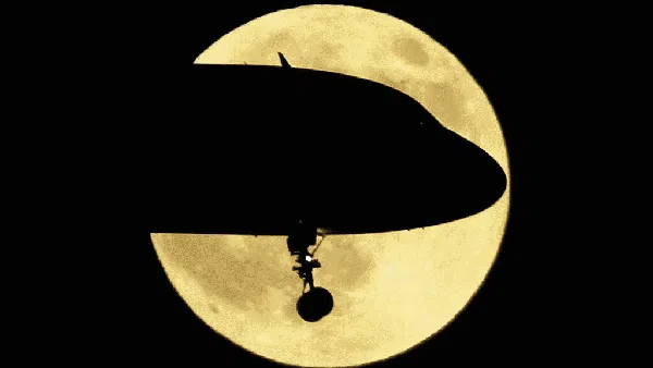 Keren Banget! Jepretan Foto Siluet Ini Bikin Geleng-geleng Kepala