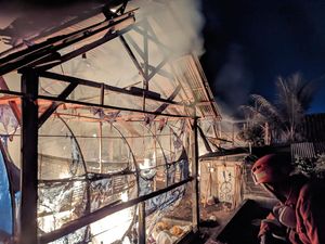 8 Ribu Ekor Ayam di Blitar Terpanggang, Peternak Rugi Rp 300 Juta