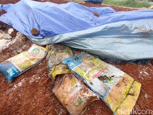 Kemenko PMK: Beras Rusak Dikubur di Depok 1 Ton, Bantuan Presiden 2020 Kemenko PMK: Beras Rusak Dikubur di Depok 1 Ton, Bantuan Presiden 2020