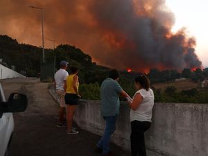 Ketika Kebakaran Hutan Jadi Tontonan