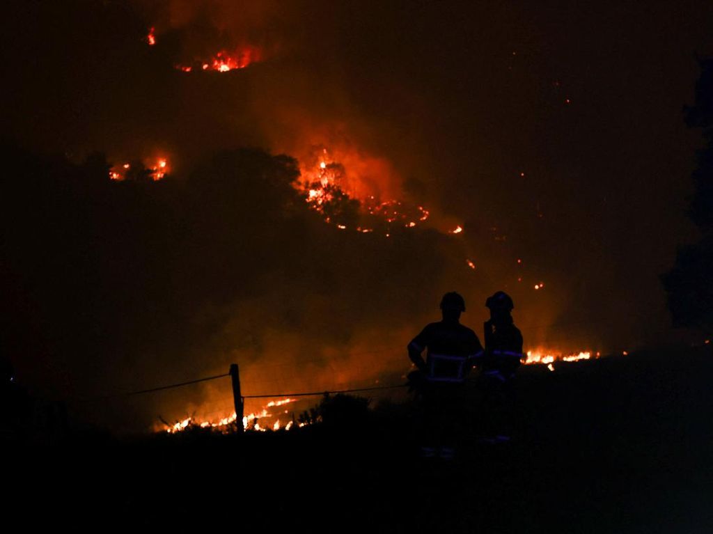 Kobaran Api di Portugal Meluas Akibat Dilanda Gelombang Panas