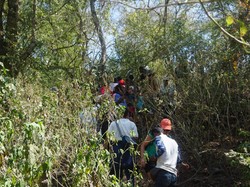 Sudahi Polemik Tarif Mahal TN Komodo, Asita Minta PKS Dibatalkan