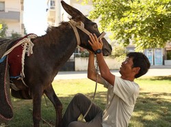 Tidak Biasa! Wisata Jalur Lambat, Turis Jepang Ini Naik Keledai Keliling Turki