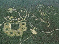 Kuala Kencana: Sejarah dan Fakta Distrik Modern di Timika Papua