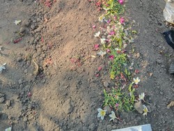 Viral Ibu Jombang Dipaksa Lahiran Normal Berujung Bayi Meninggal