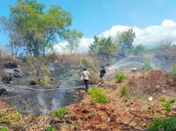 Kecamatan Kubu Paling Rawan Alami Kebakaran Lahan di Karangasem